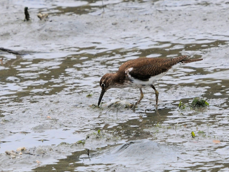 NTVM@@@Opr@Ls@ꌧ@2023/02/06@Photo by Kohyuh