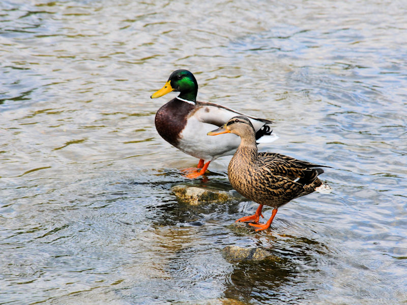 }KY@썶݁iVj@s@2019/05/02@Photo by Kohyuh