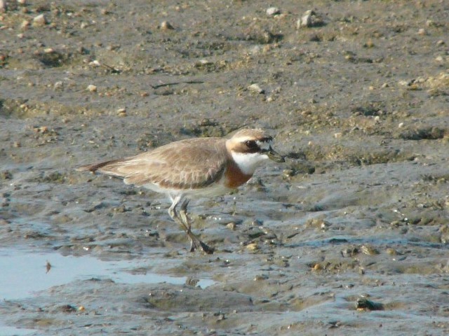 @ _C`h ij@@s@썶݁@2008/05/03@Photo by Takase