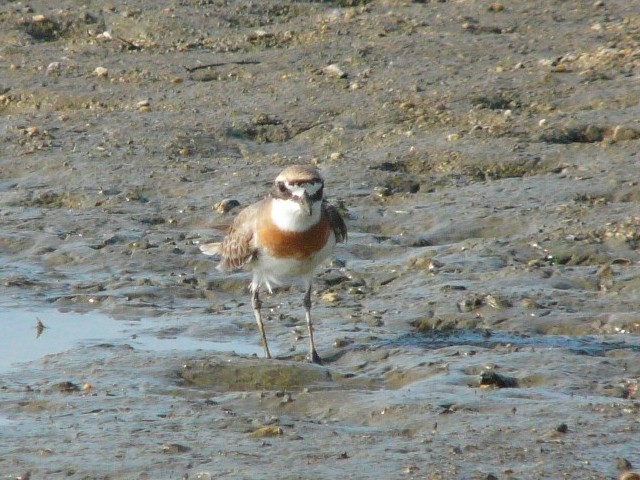 A _C`h ij@@s@썶݁@2008/05/03@Photo by Takase