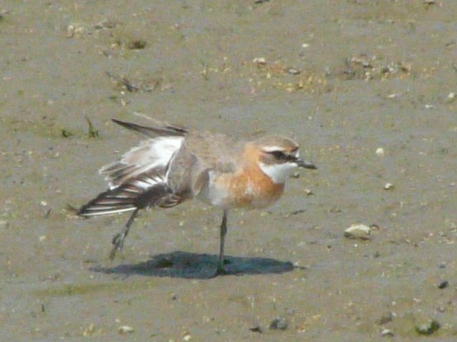 B _C`h ij@@s@썶݁@2008/05/03@Photo by Takase