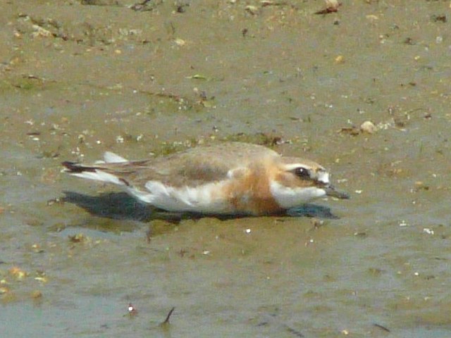 C _C`h ij@@s@썶݁@2008/05/03@Photo by Takase