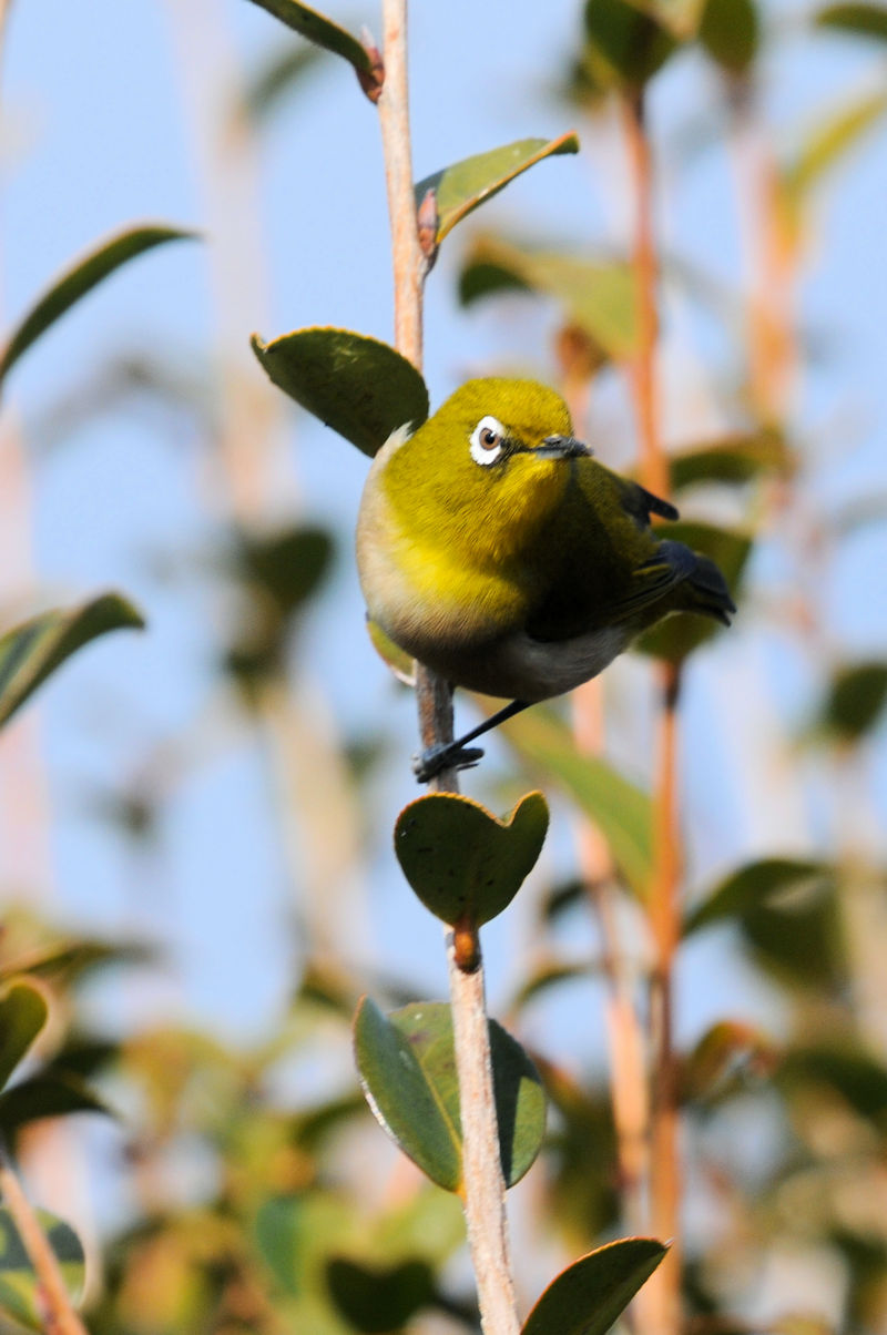 W @J@s@2022/02/01@Photo by Kohyuh