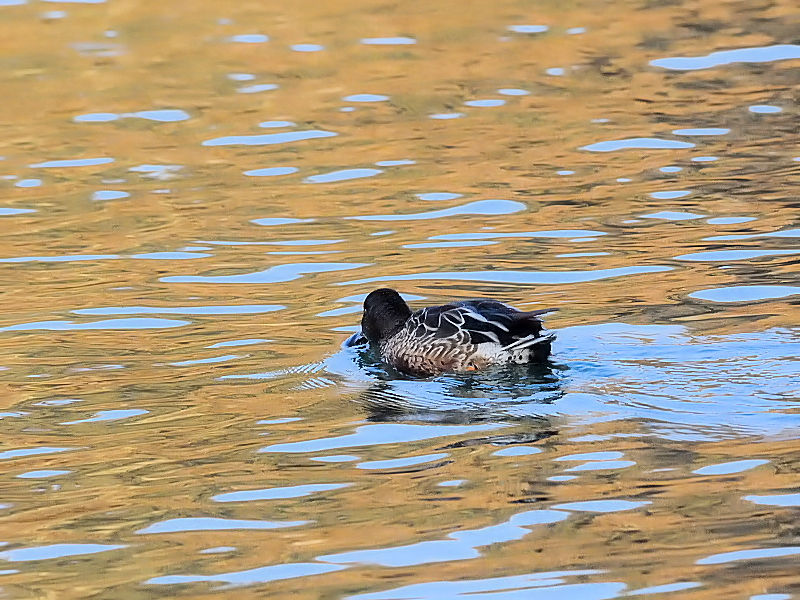 ~JdLnVrKiT-3j ~H@Rcr@s 2016/12/18@Photo by Kohyuh