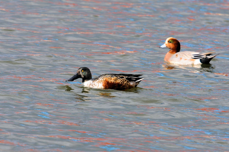 ~JdLnVrK  ~H@@s@2019/11/20@Photo by Kohyuh