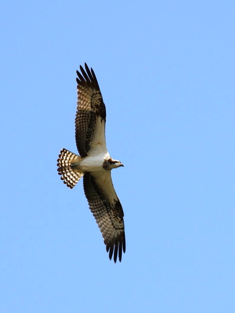 F ~TS@@k@s@2013/11/23@Photo by Manda@iʐ^F񋟁F@ݓcj