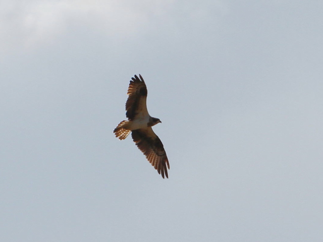 ~TS@@lLb` iR-1j@2014/10/28@Photo by Manda