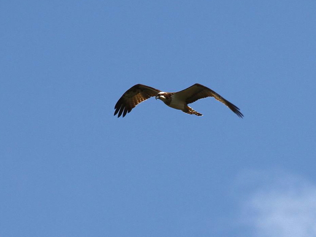 E ~TS@@k@s@2013/11/23@Photo by Manda@iʐ^E񋟁F@ݓcj