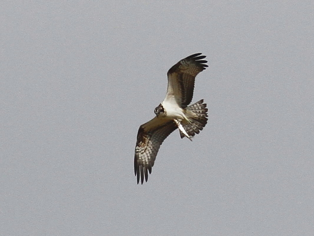 ~TS@@lLb` iR-2j@2014/10/28@Photo by Manda