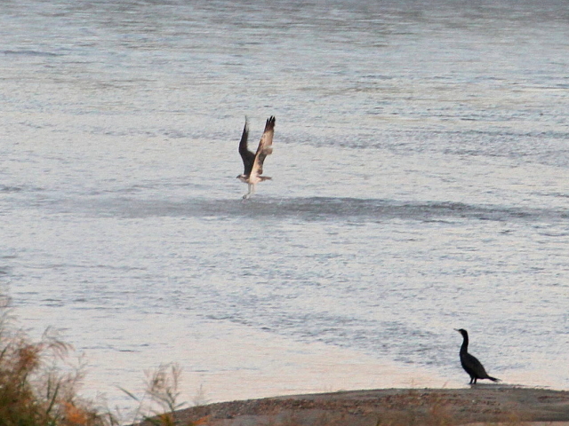 ~TS@@э iU-2j@ؒÐ@2014/10/29@Photo by Manda