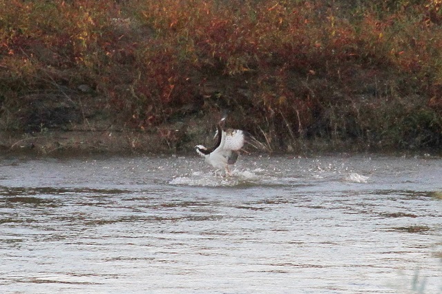 ~TS@@э iU-2j@ؒÐ@2014/10/29@Photo by Manda