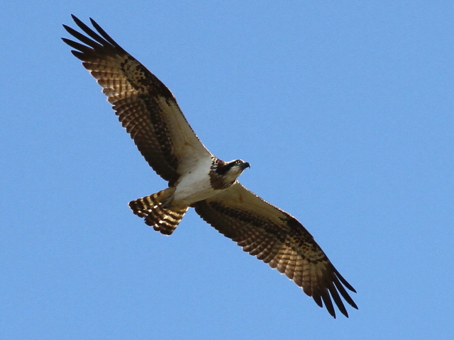 H ~TS@@k@s@2013/11/23@Photo by Manda@iʐ^H񋟁F@ݓcj