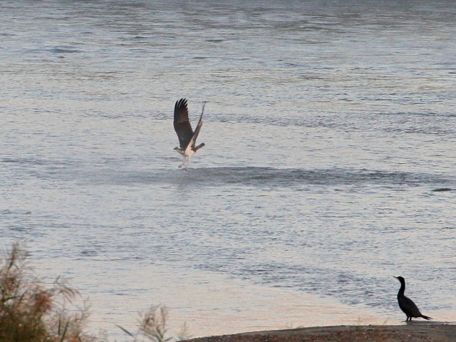 ~TS@@э iU-3j@ؒÐ@2014/10/29@Photo by Manda