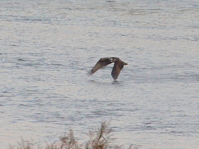 ~TS@@э iU-4j@ؒÐ@2014/10/29@Photo by Manda