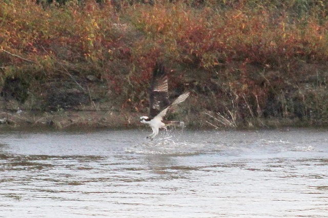 ~TS@@э iU-4j@ؒÐ@2014/10/29@Photo by Manda