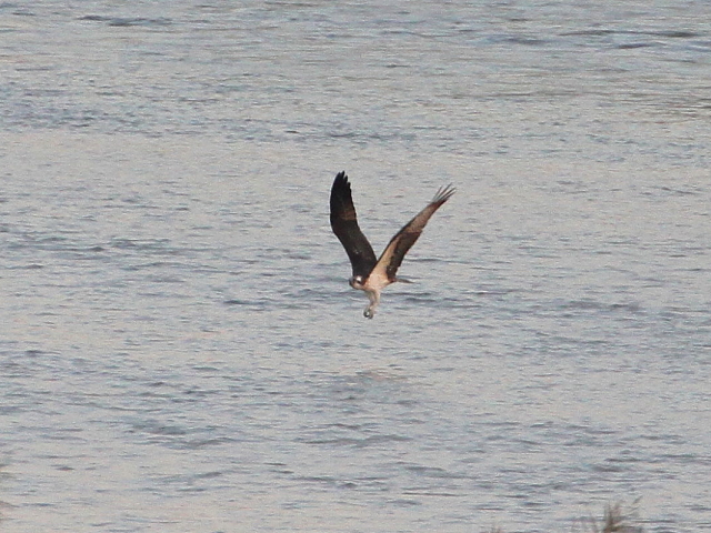 ~TS@@э iU-5j@ؒÐ@2014/10/29@Photo by Manda