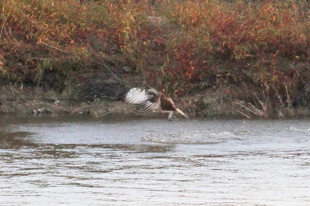 ~TS@@э iU-6j@ؒÐ@2014/10/29@Photo by Manda