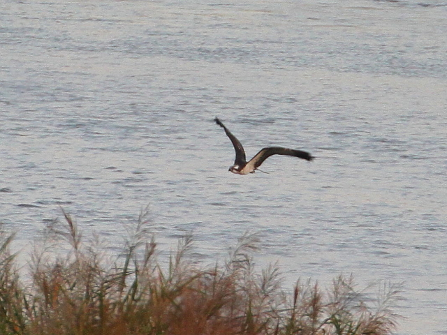 ~TS@@э iU-6j@ؒÐ@2014/10/29@Photo by Manda