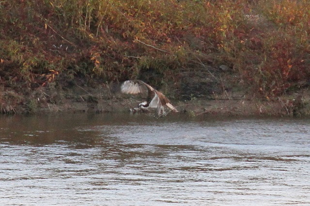 ~TS@@э iU-5j@ؒÐ@2014/10/29@Photo by Manda