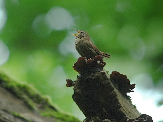 ~\TUC@@ˉBXь@@2009/07/19@Photo by Takase