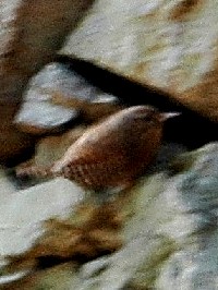 ~\TUC@@jR@s@2009/01/28@Photo by Takase