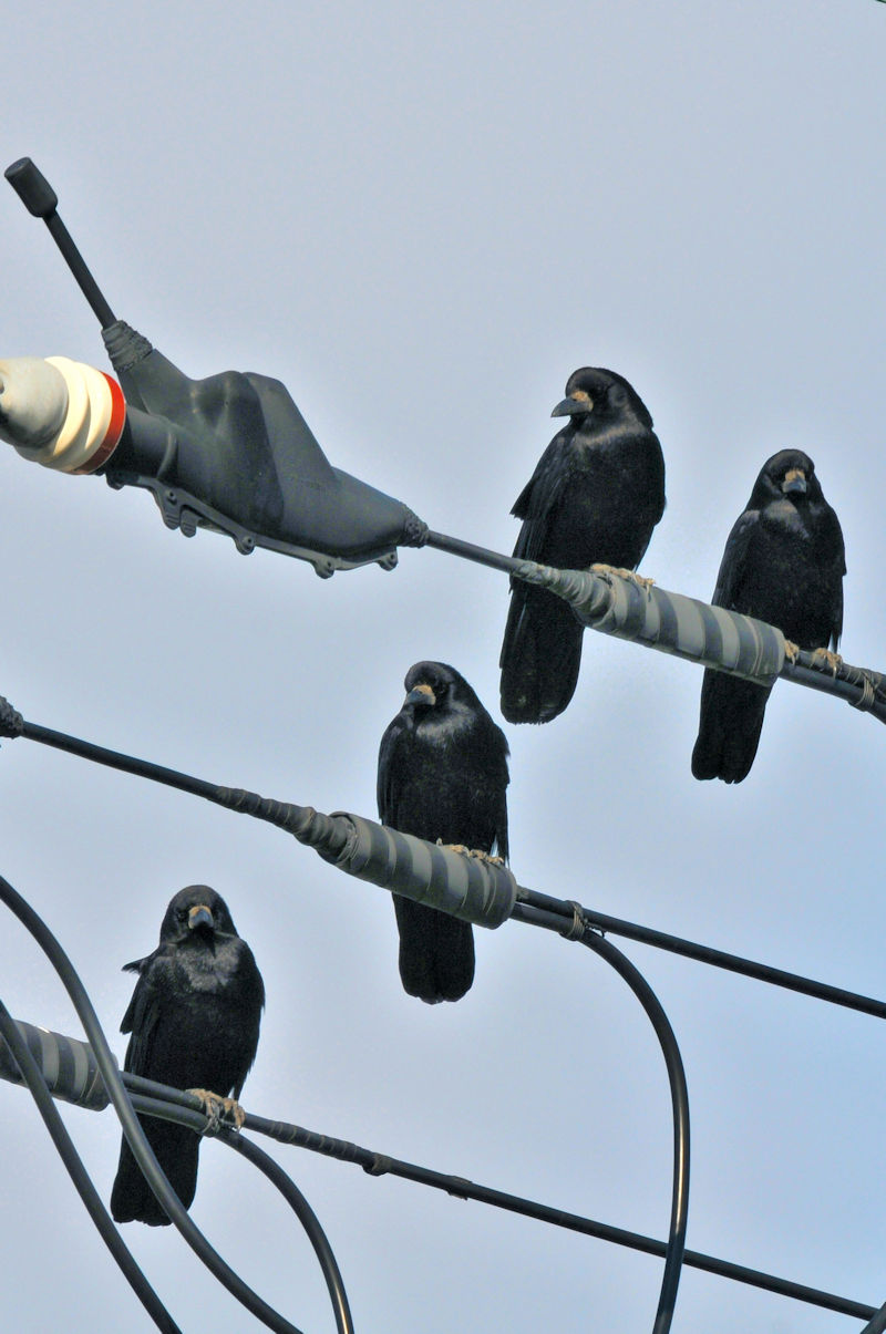 ~}KX @P@s@2021/12/11@Photo by Kohyuh