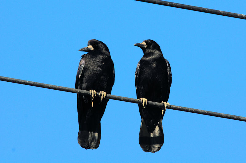 ~}KX @J@s@2020/12/02@Photo by Kohyuh