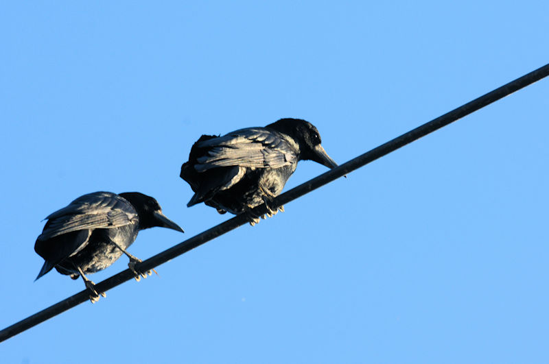 ~}KX @J@s@2020/12/02@Photo by Kohyuh