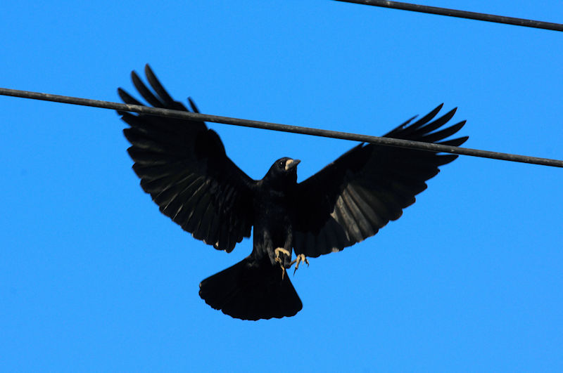 ~}KX @J@s@2020/12/02@Photo by Kohyuh