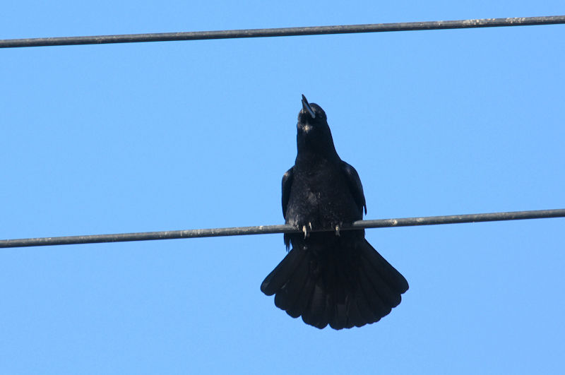 ~}KX @J@s@2020/12/02@Photo by Kohyuh