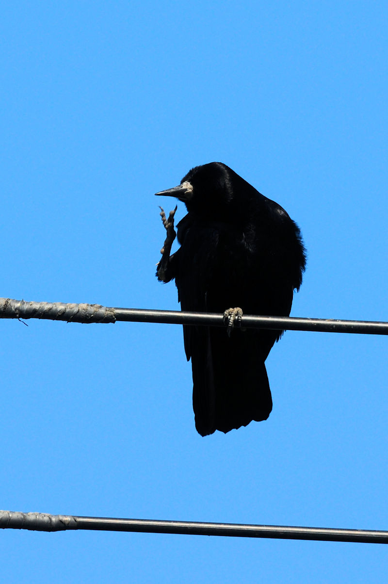 ~}KX @J@s@2021/12/15@Photo by Kohyuh