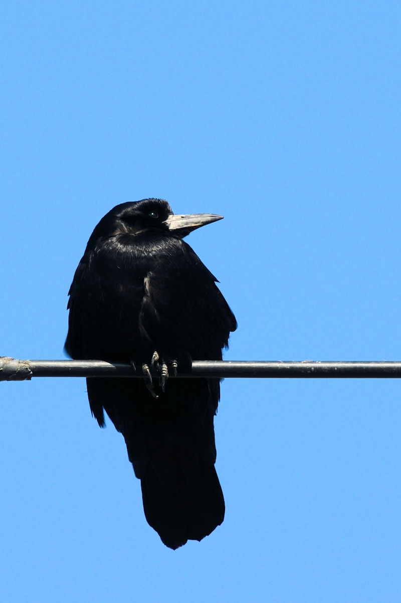 ~}KX @J@s@2021/12/15@Photo by Kohyuh