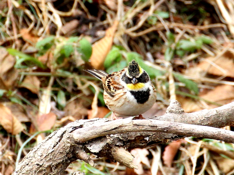 E ~}zIW @@@ޗǌ@2014/02/22@Photo by Manda