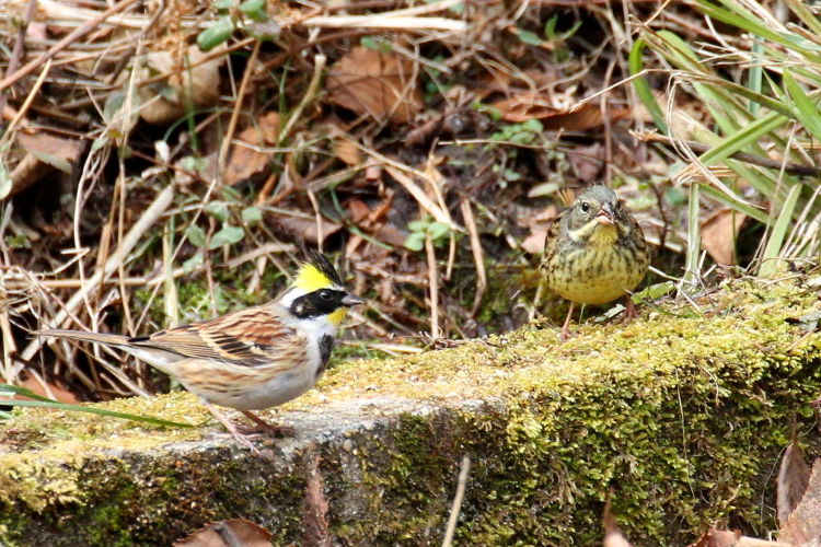 H ~}zIW @@AIW@@@ޗǌ@2014/02/22@Photo by Manda