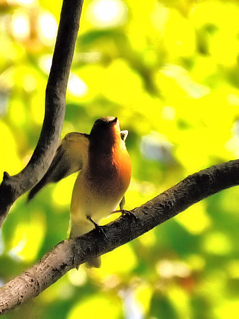 D M}L @@@s@2012/10/19@Photo by Kohyuh