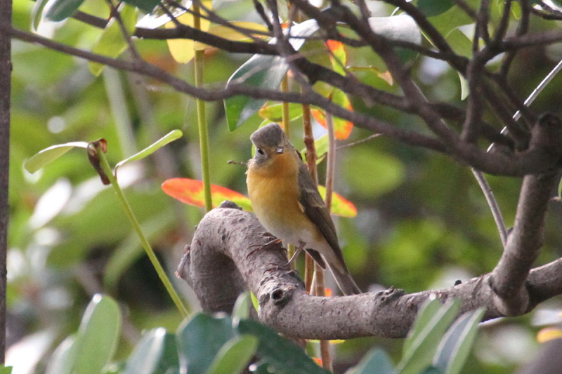 M}L @@iU-6j@@s@2014/10/23@Photo by Manda