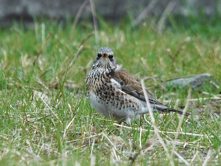 A mncO~@@s{@ 2009/02/19@Photo by Takase