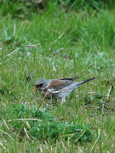 C mncO~@@s{@ 2009/02/19@Photo by Takase