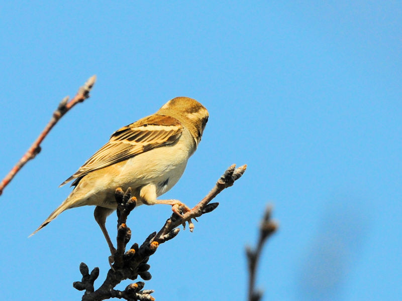 jEiCXY @@J@s@2023/03/11@Photo by Kohyuh