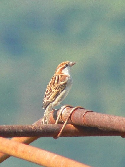@ jEiCXY@@s@J@2007/11/03@Photo by Takase