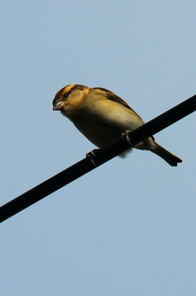 jEiCXY @@s@J@2021/11/24@Photo by Kohyuh