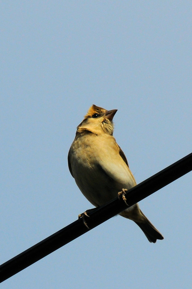 jEiCXY @@s@J@2021/11/24@Photo by Kohyuh