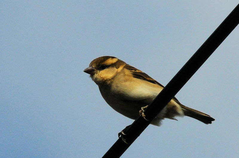 jEiCXY @@s@J@2021/11/24@Photo by Kohyuh