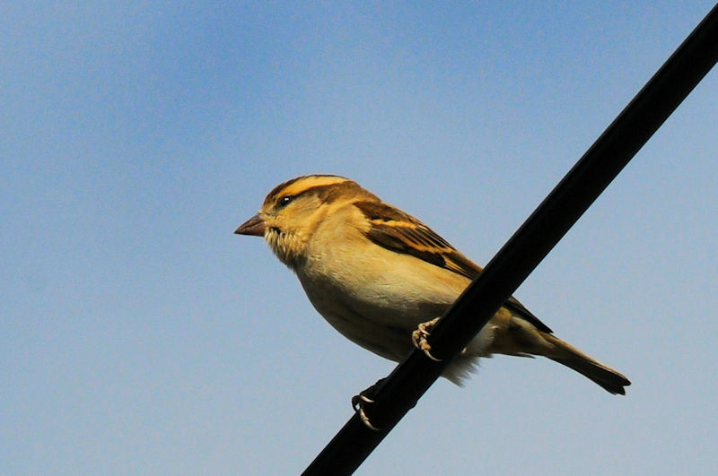 jEiCXY @@s@J@2021/11/24@Photo by Kohyuh