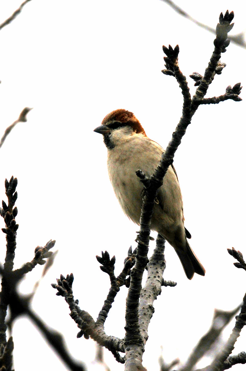 jEiCXY  @J@s@2022/02/15@Photo by Kohyuh