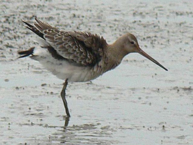 A IOVM@@c@s@2007/09/29@Photo by Takase