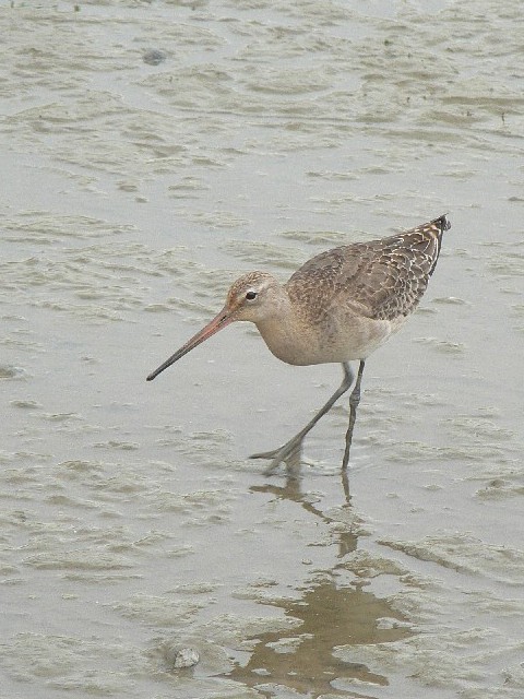 @ IOVM@@c@s@2007/09/29@Photo by Takase