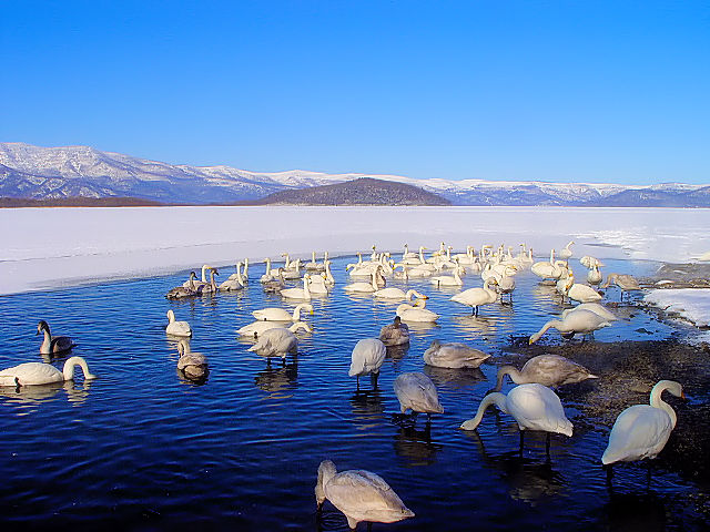 B IInN`E@Q@ΘH΁@kC@2008/02/06@Photo by Kohyuh