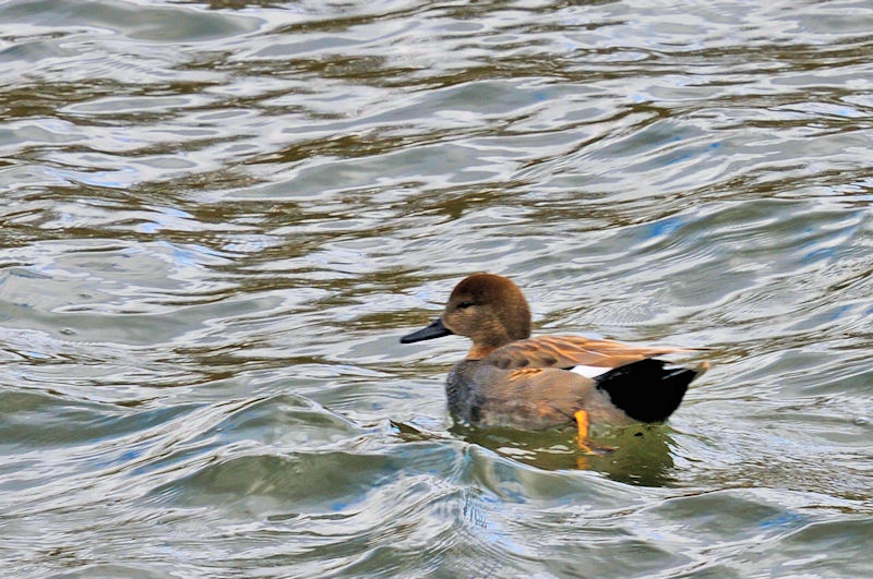 IJVKiQ-1j@킫R^@s@2020/01/30@Photo by Kohyuh