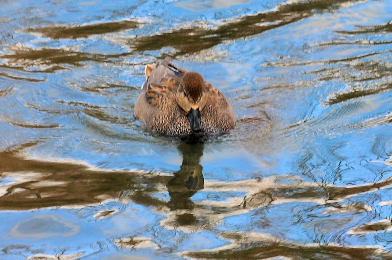 IJVKiQ-2j@킫R^@s@2020/01/30@Photo by Kohyuh